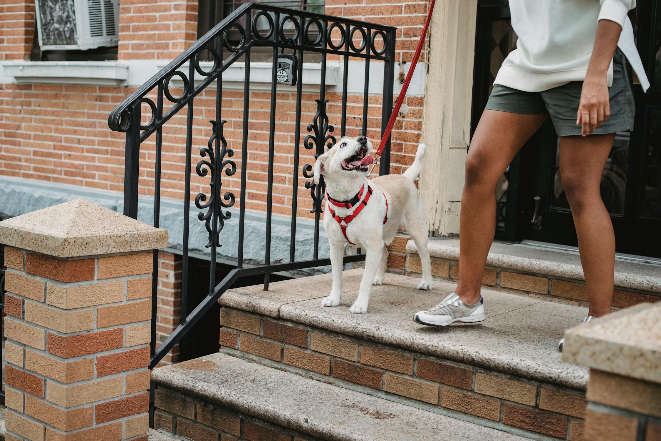 Our Pre-Walk Routine: How We Set the Tone for Success