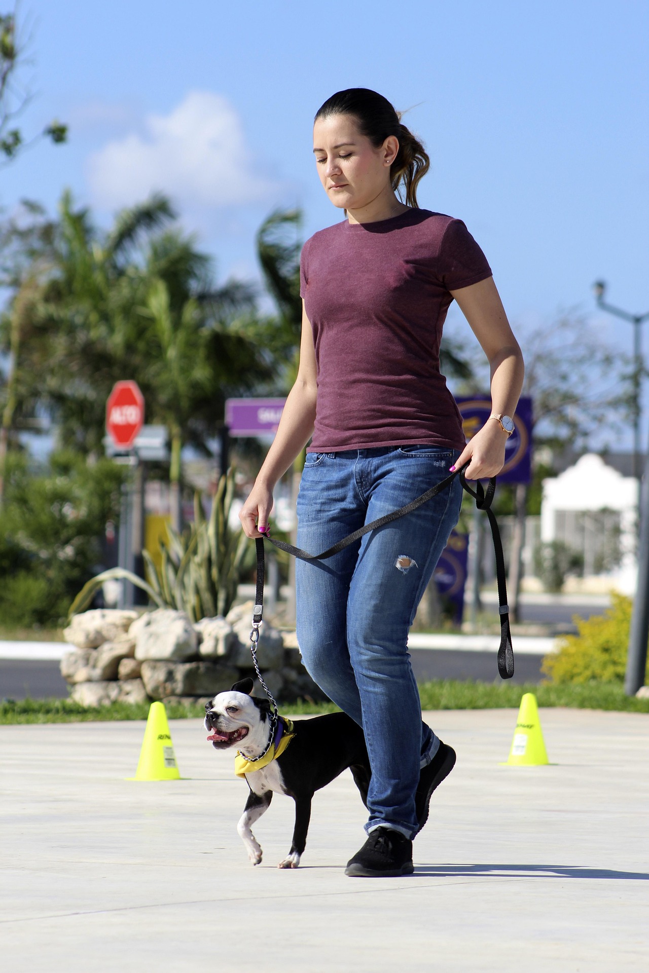 How to Handle Unexpected Triggers with a Reactive Dog