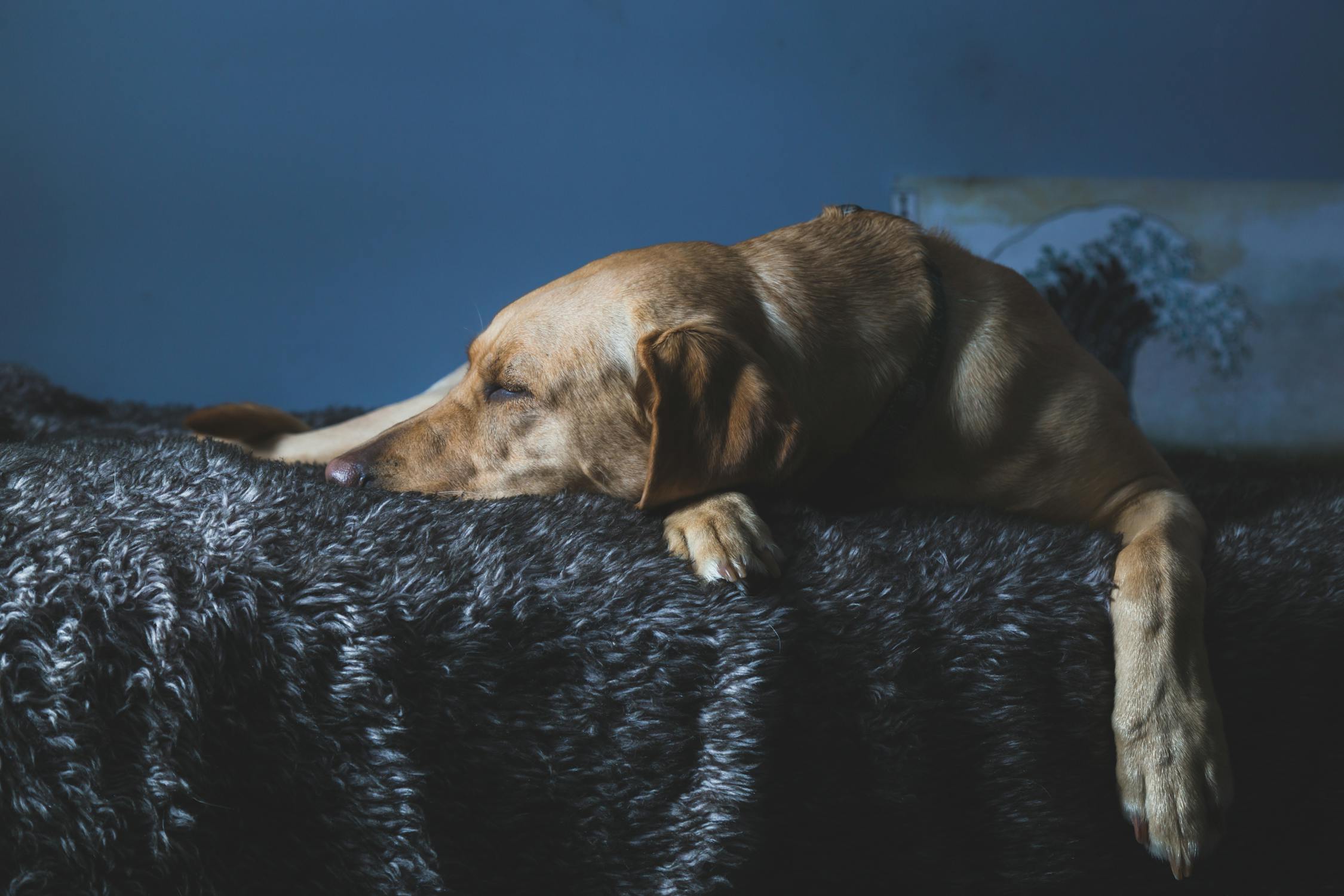 image-Rest Days Are Training Too — Here’s Why