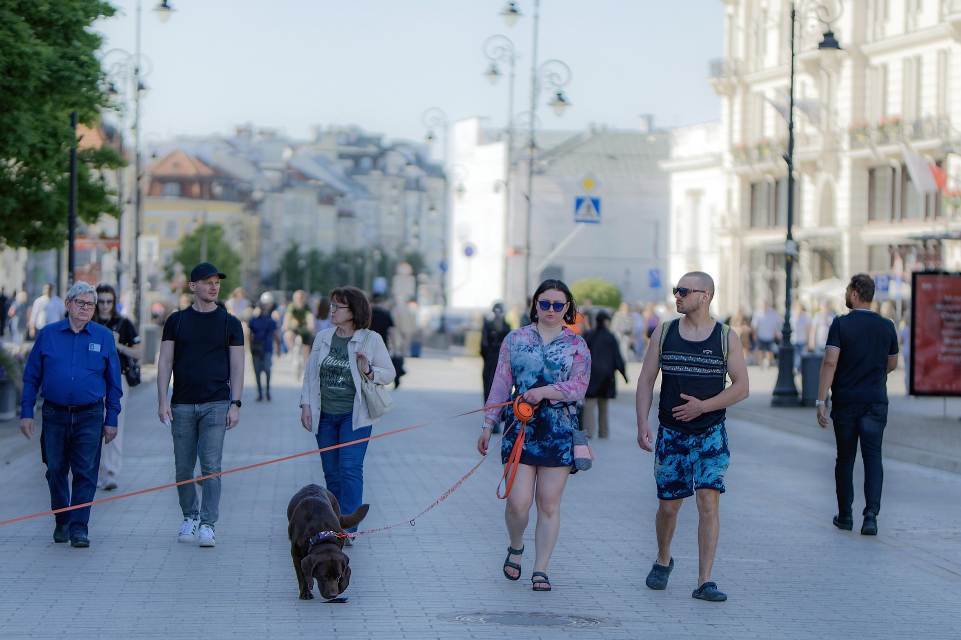 image-Walking in the City with a Reactive Dog: Our Urban Survival Tips